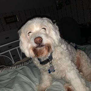 Meet your Posher, Gabby